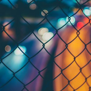 Signals (Song-Download)