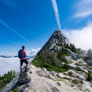 Adventure (Song-Download)