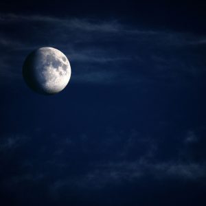 Lunar Cycles (Song-Download)