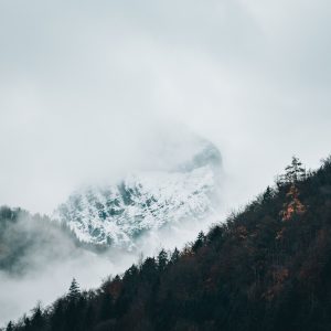 Transcend (Song-Download)