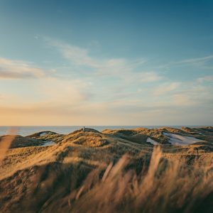 Horizon (Song-Download)