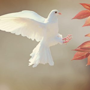 Flying (Song-Download)