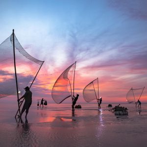 Chill Lofi (Song-Download)