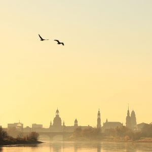 The Spirit (Song-Download)